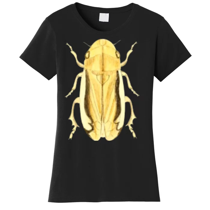 Cicada Women's T-Shirt