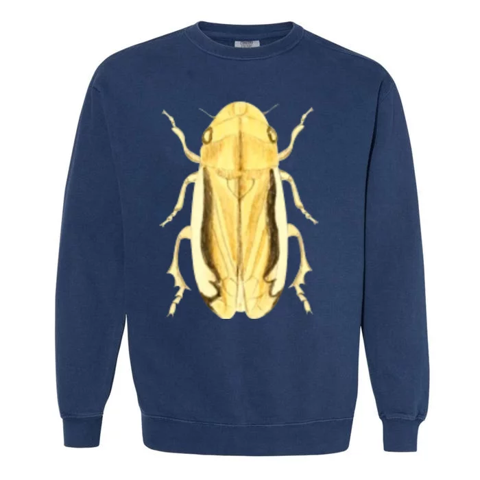 Cicada Garment-Dyed Sweatshirt