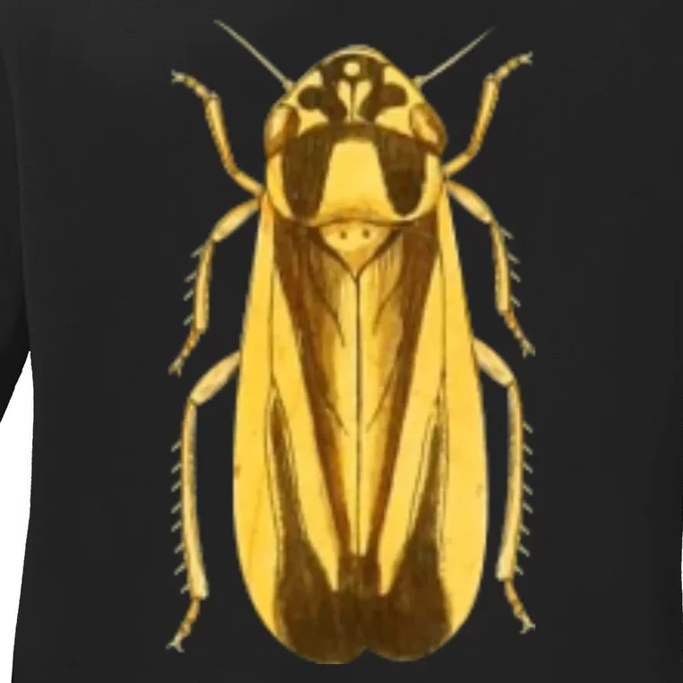 Cicada Ladies Long Sleeve Shirt