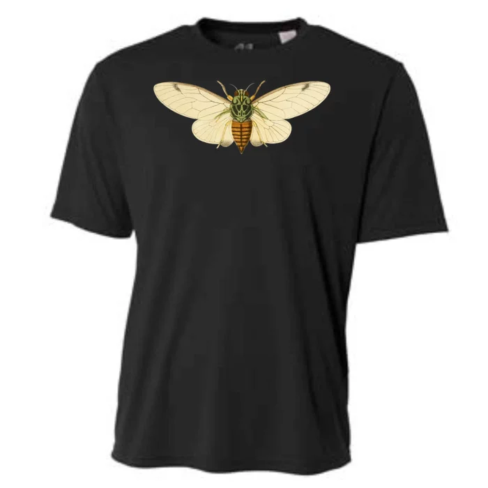 Cicada Cooling Performance Crew T-Shirt