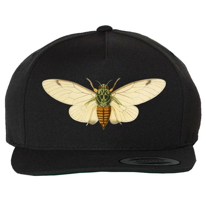 Cicada Wool Snapback Cap