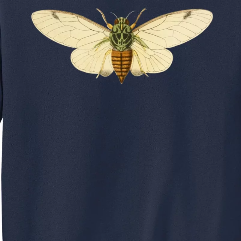 Cicada Sweatshirt