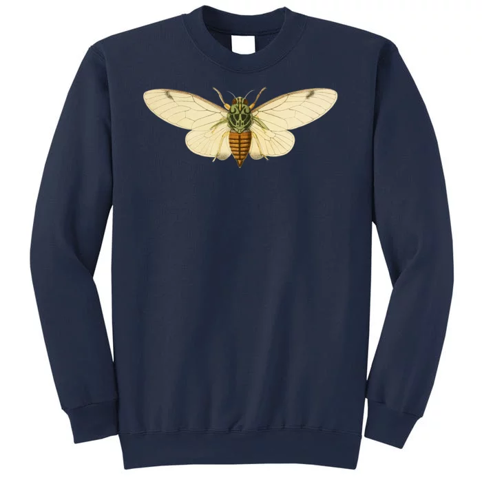 Cicada Sweatshirt