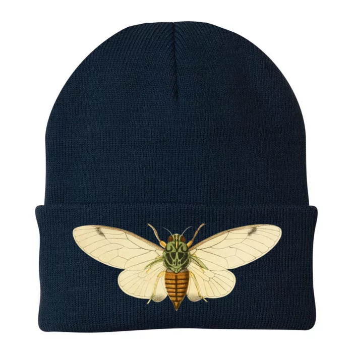 Cicada Knit Cap Winter Beanie