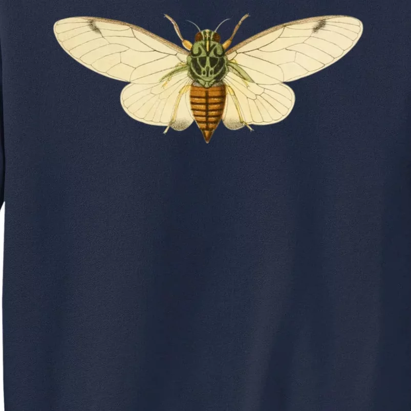 Cicada Tall Sweatshirt