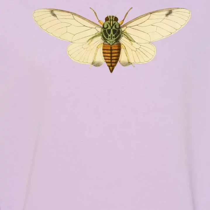 Cicada Garment-Dyed Sweatshirt