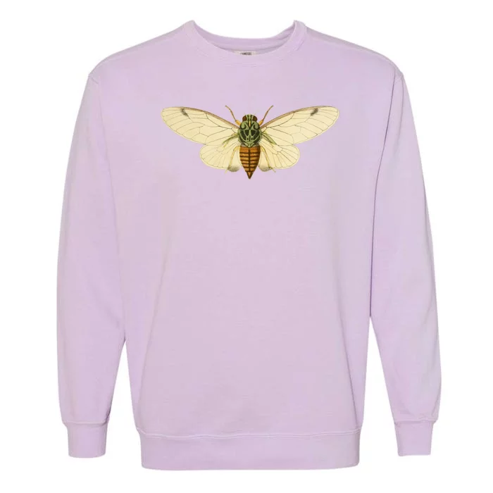 Cicada Garment-Dyed Sweatshirt