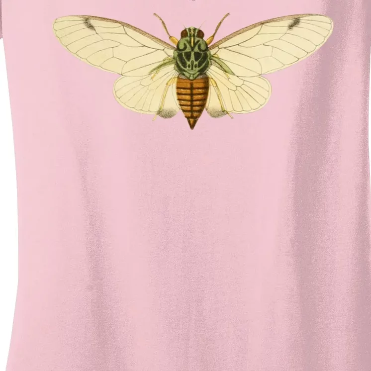 Cicada Women's V-Neck T-Shirt