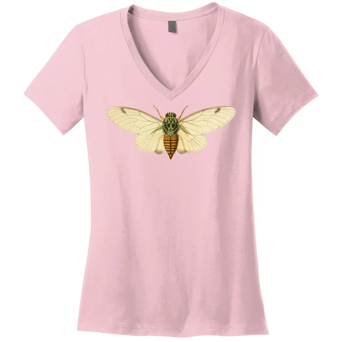 Cicada Women's V-Neck T-Shirt