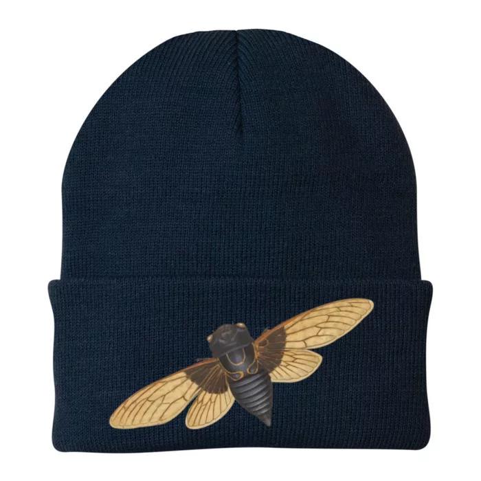 Cicada Knit Cap Winter Beanie