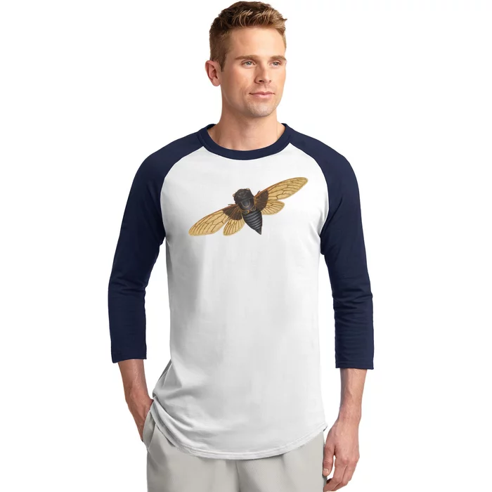 Cicada Baseball Sleeve Shirt