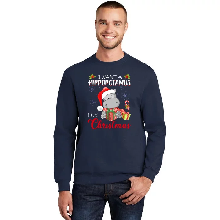 Christmas Cute I Want A Hippopotamus For Xmas Hippo Gift Tall Sweatshirt