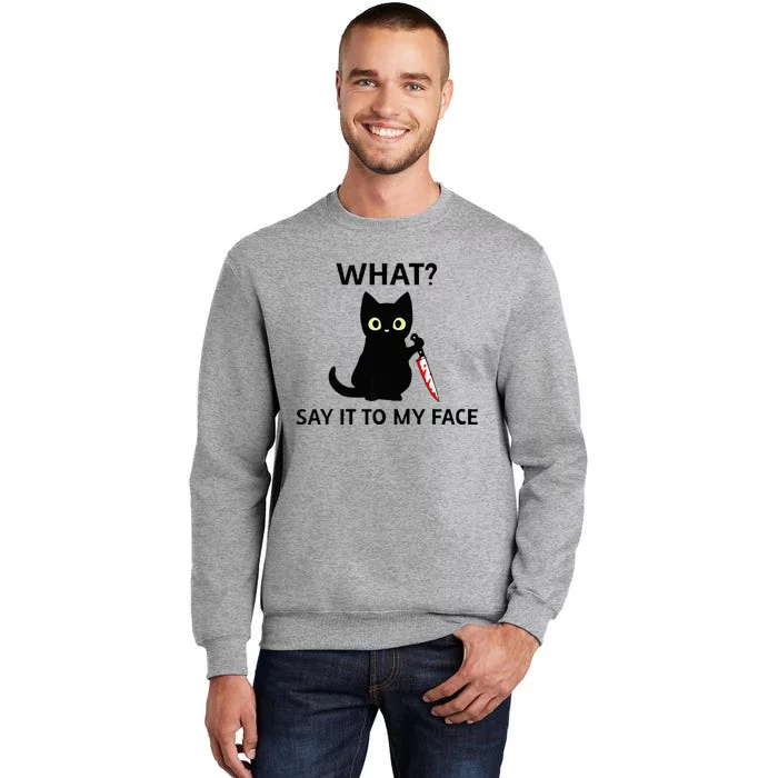 Childless Cat Ladies Funny Cat What Say It To My Face Raglan Baseball Tall Sweatshirt