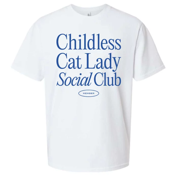 Childless Cat Lady Social Club Quiet Luxury Aesthetic Sueded Cloud Jersey T-Shirt