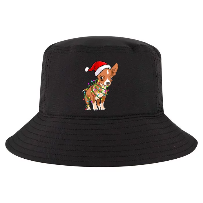 Chihuahua Christmas Lights Gift Funny Xmas Dog Lover Cool Comfort Performance Bucket Hat