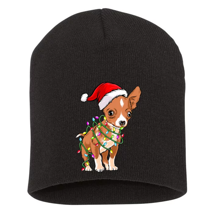 Chihuahua Christmas Lights Gift Funny Xmas Dog Lover Short Acrylic Beanie