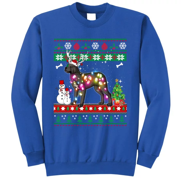 Cane Corso Mastiff Christmas Lights Funny Xmas Dog Cute Gift Tall Sweatshirt