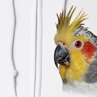 Captivating Cockatiel Portrait Full Zip Hoodie