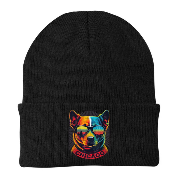 CHICAGO CITY PUP In SHADES With CITY FLAG Vintage Designer Knit Cap Winter Beanie