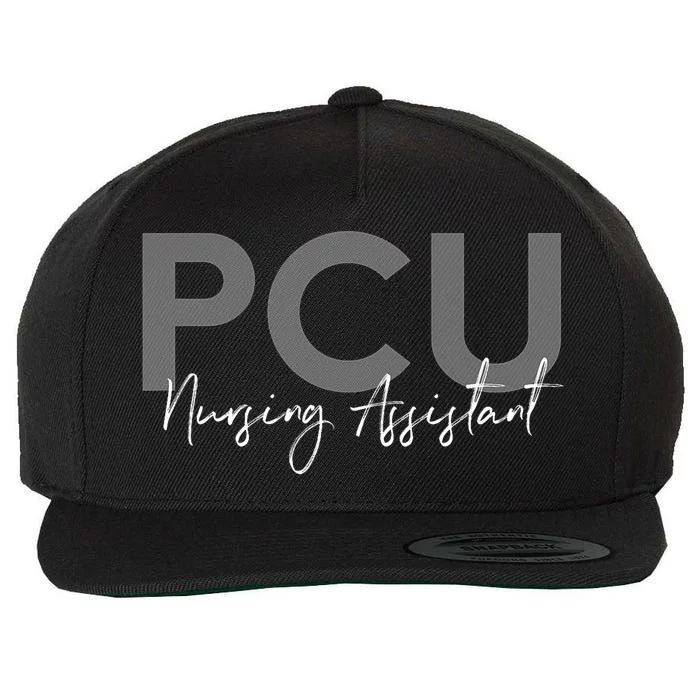 Cna Certified Pcu Nursing Assistant Medical Wool Snapback Cap