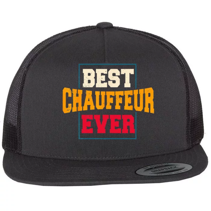 Chauffeur Carpooler Professional Driver Private Limousine Flat Bill Trucker Hat