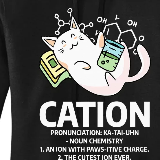 Cation Chemist Pet Cats Animal Chemistry Science Cat Lover Women's Pullover Hoodie