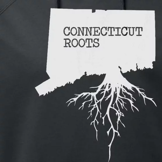 Connecticut Connecticut Roots State Performance Fleece Hoodie