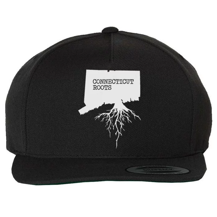 Connecticut Connecticut Roots State Wool Snapback Cap