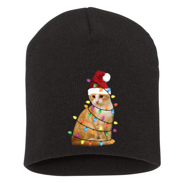 Cat Christmas Ree Santa Funny Xmas Cat Lover Short Acrylic Beanie