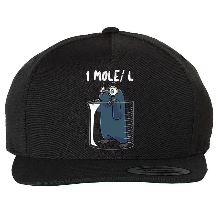 Chemistry Chemist Student Science Teacher Mole Wool Snapback Cap