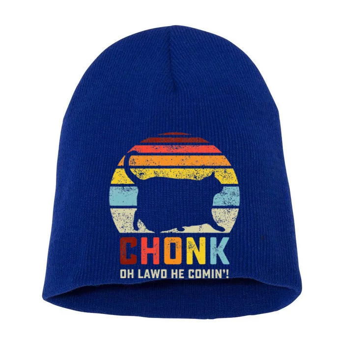 Chonk Cat Scale Meme Retro Style Cats Memes Short Acrylic Beanie