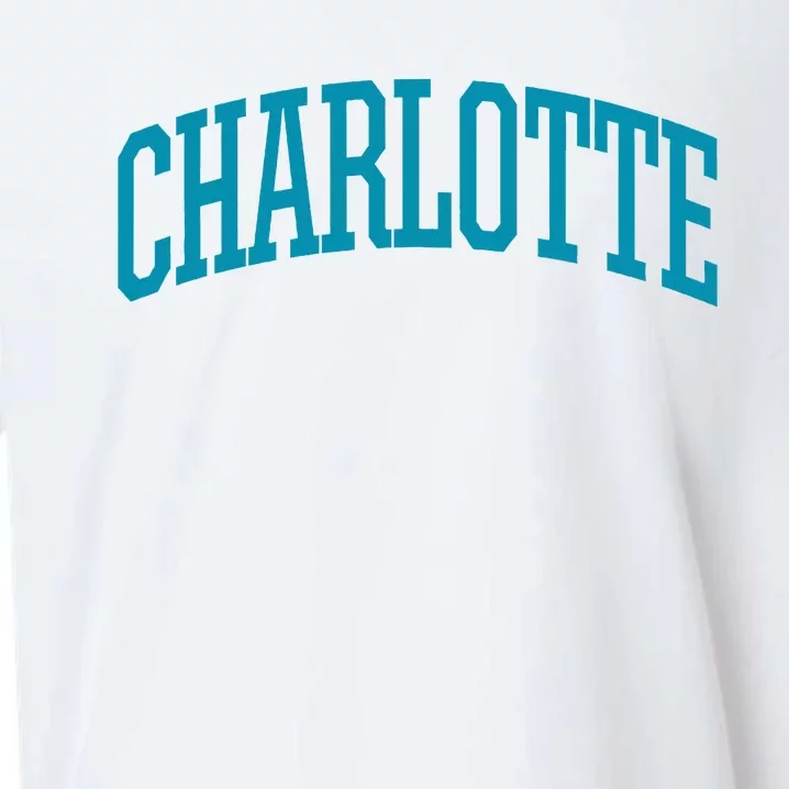 Charlotte Charlotte Sports Collegestyle Sueded Cloud Jersey T-Shirt