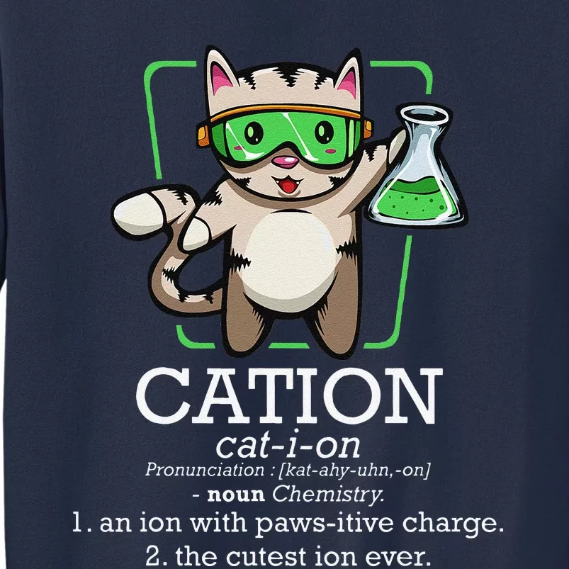 Cation Cute Science Cat Pawsitive Element Chemistry Teacher Sweatshirt