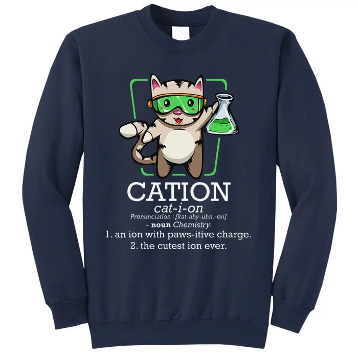 Cation Cute Science Cat Pawsitive Element Chemistry Teacher Sweatshirt