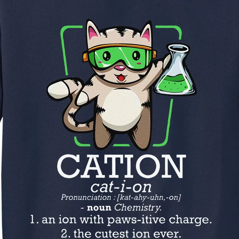 Cation Cute Science Cat Pawsitive Element Chemistry Teacher Tall Sweatshirt