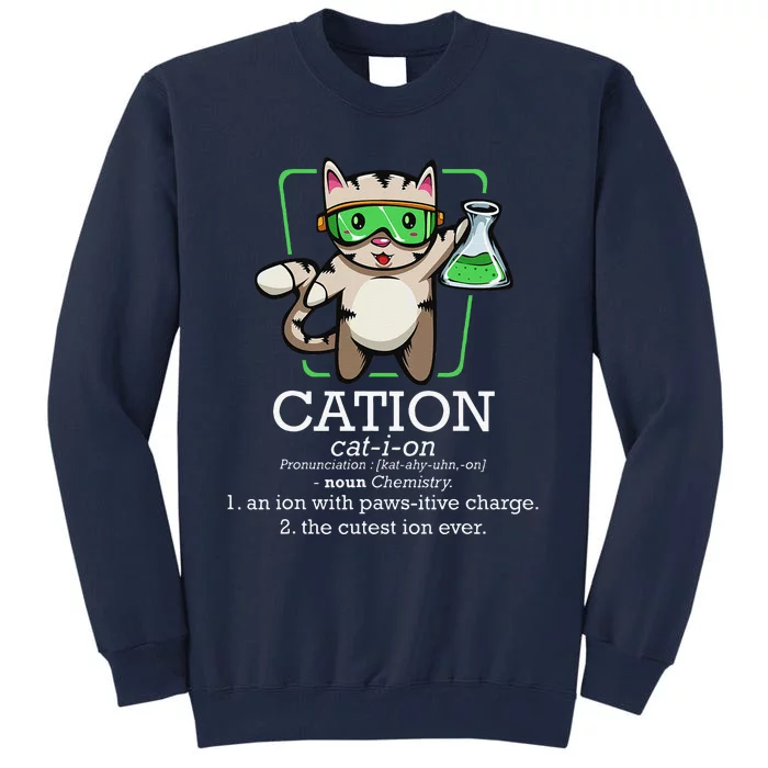 Cation Cute Science Cat Pawsitive Element Chemistry Teacher Tall Sweatshirt