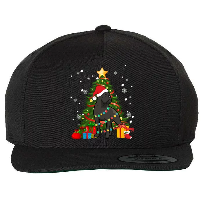 Cane Corso Santa Christmas Tree Light Pajama Dog Xmas Great Gift Wool Snapback Cap