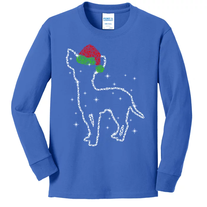 Cute Chihuahua Santa Hat Christmas Lights Dog Lover Xmas Gift Kids Long Sleeve Shirt