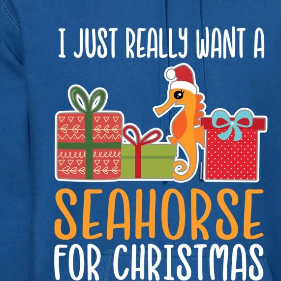 Cute Christmas Seahorse I Want A Seahorse Gift Premium Hoodie