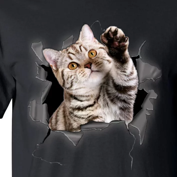 Cute Cat Torn Cloth Funny For Cat Lover Cat Mom Cat Dad Tall T-Shirt