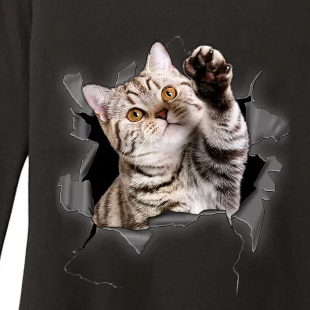 Cute Cat Torn Cloth Funny For Cat Lover Cat Mom Cat Dad Womens CVC Long Sleeve Shirt