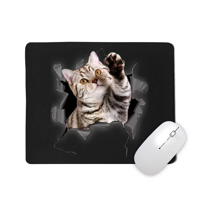 Cute Cat Torn Cloth Funny For Cat Lover Cat Mom Cat Dad Mousepad