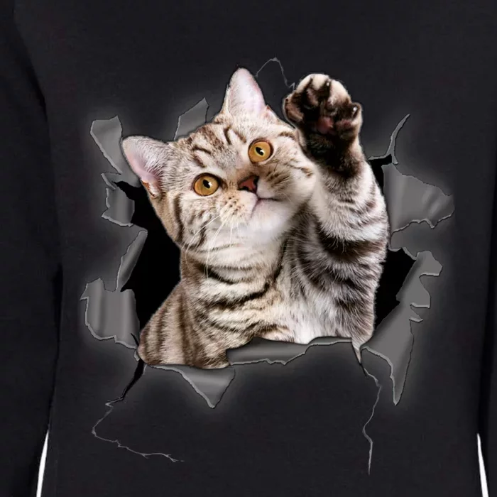 Cute Cat Torn Cloth Funny For Cat Lover Cat Mom Cat Dad Womens California Wash Sweatshirt