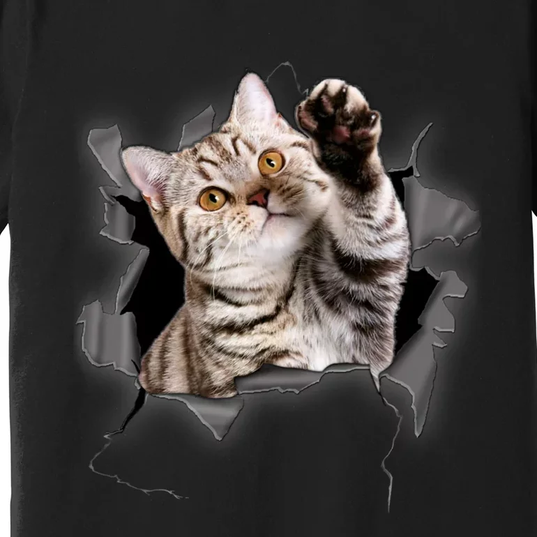 Cute Cat Torn Cloth Funny For Cat Lover Cat Mom Cat Dad Premium T-Shirt