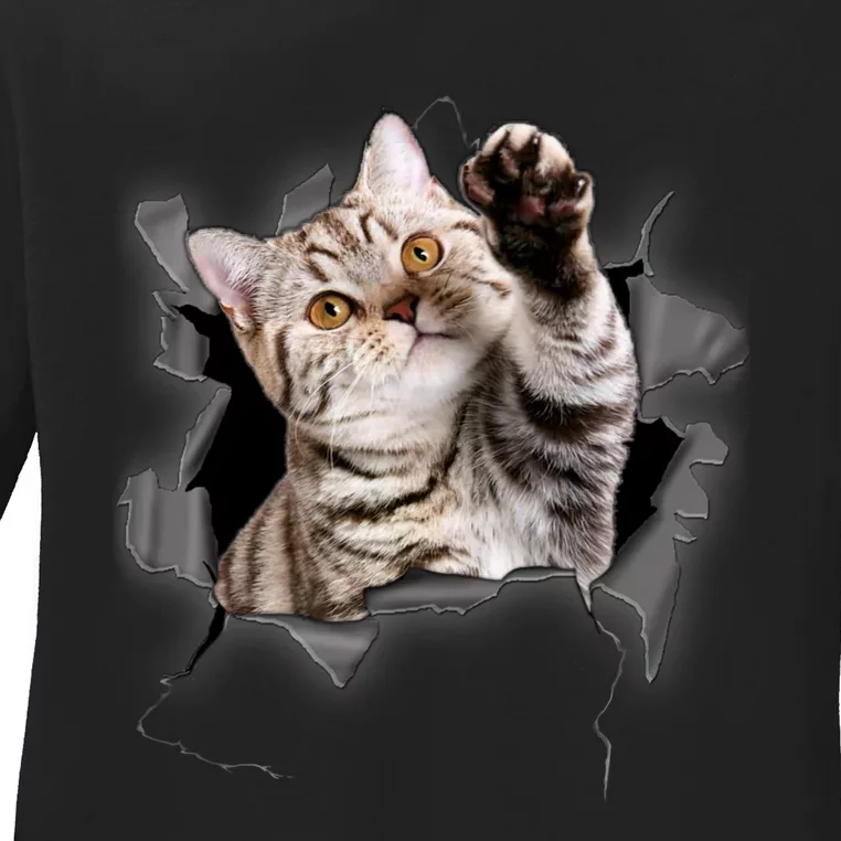 Cute Cat Torn Cloth Funny For Cat Lover Cat Mom Cat Dad Ladies Long Sleeve Shirt