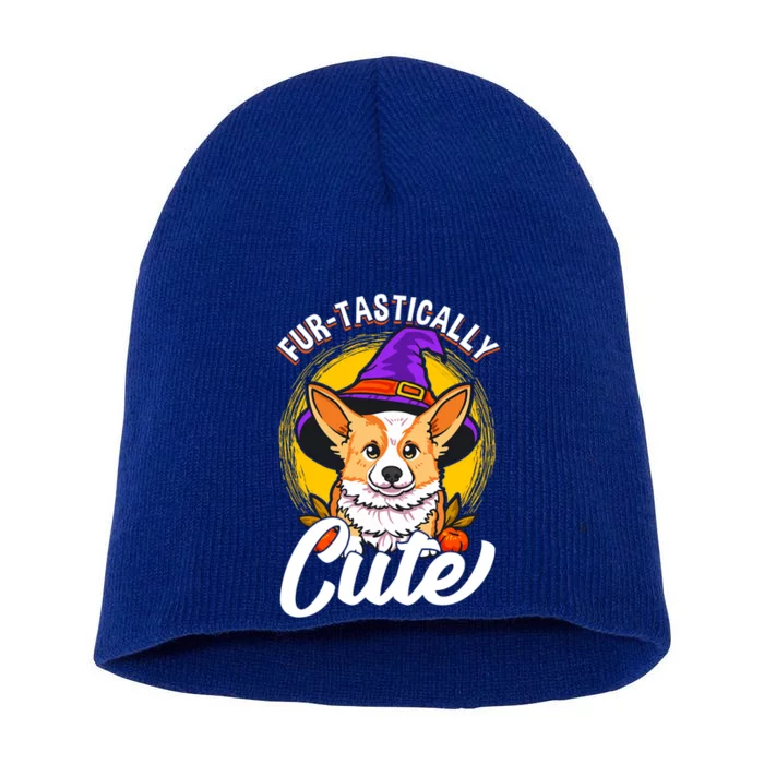 Cute Corgi Wearing Witch Hat FurTastically Cute Gift Short Acrylic Beanie