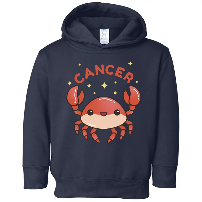 Cancer Crab Zodiac Astrology Birthday Gift Toddler Hoodie