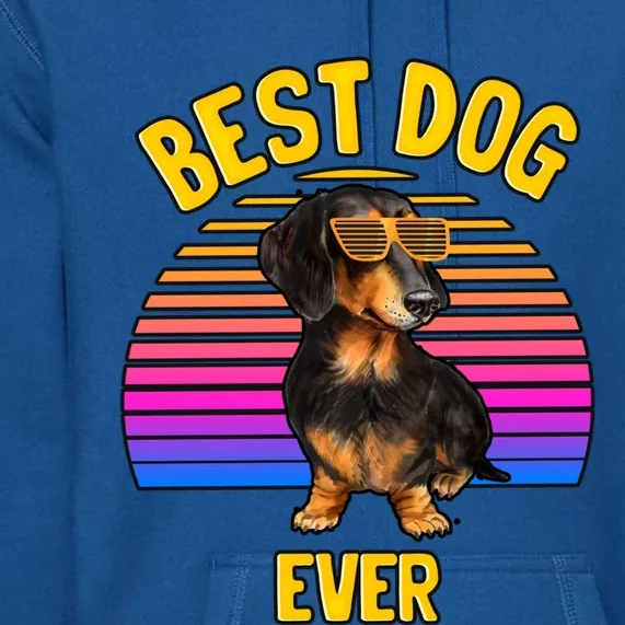 Cute Dachshund Best Dog Puppy Lover Retro Gift Premium Hoodie