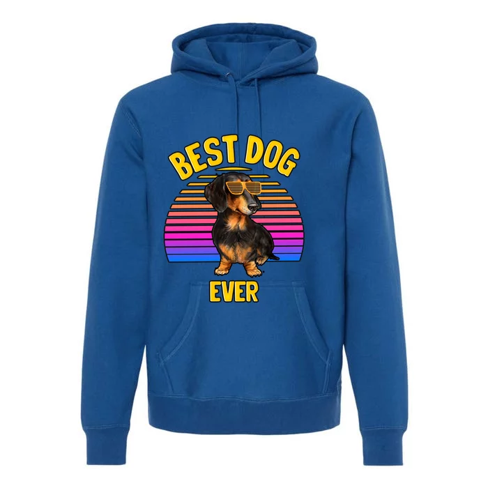 Cute Dachshund Best Dog Puppy Lover Retro Gift Premium Hoodie