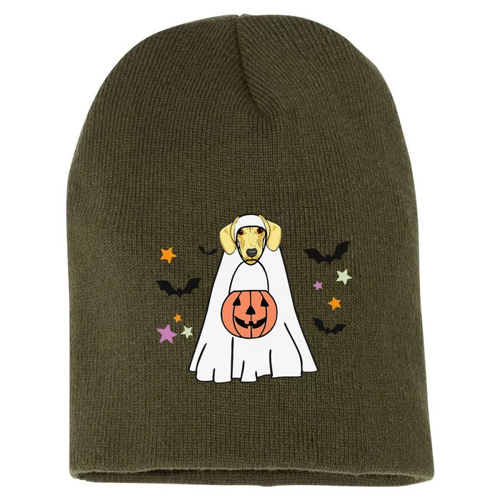 Cream Dachshund Boo Ghost Dog Lover Halloween Short Acrylic Beanie